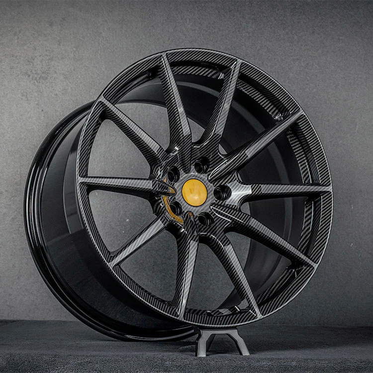 Versi Trek Roda Tempa Hidro Gentian Karbon Dicelup